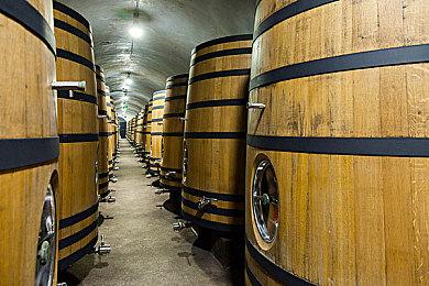 《庄园领主》将登陆Xbox主机 PS5版本暂未确认